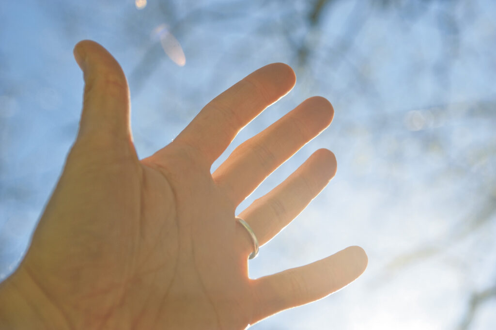 85594bef7b0b4d1e1f8d86e009a015f5