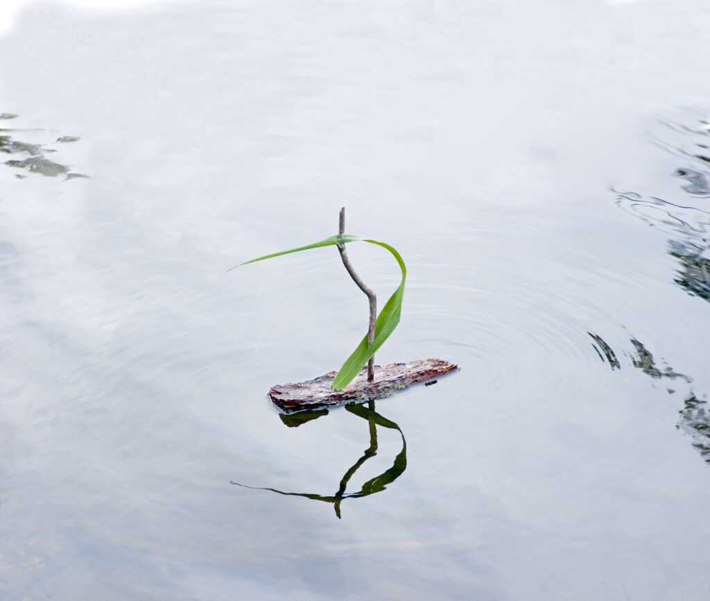 ae29fa1f0ad7872887023f81eda08f80